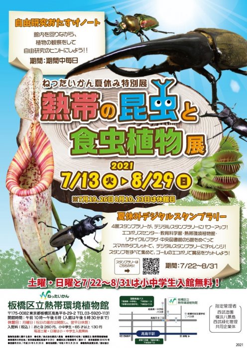 熱帯の昆虫と食虫植物 イベント情報 ぶらり いたばし 板橋区観光協会